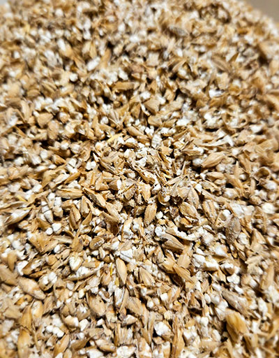 Recipe_Queen_Fermentables_media2