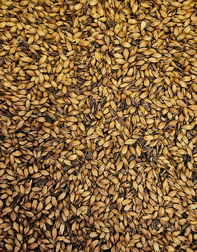 Recipe_Fermentables_SpecialB