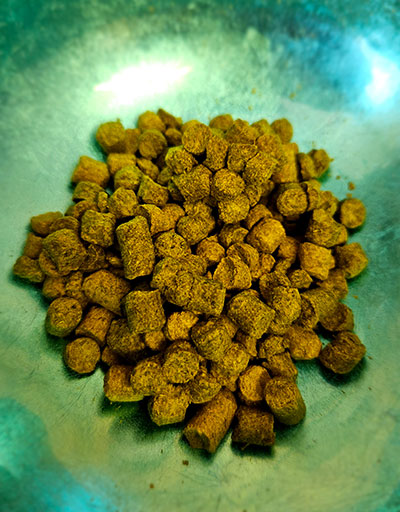 Recipe_Hops_media1