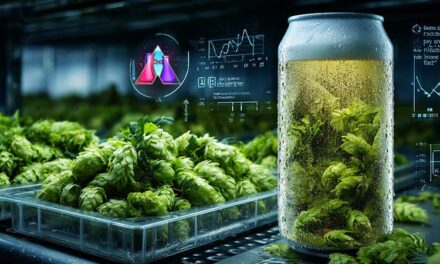 Hop stability from bine to beer
