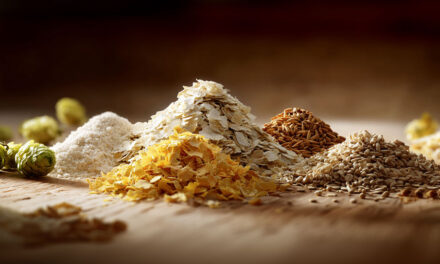 Flaked Adjuncts in Brewing: A Mechanistic Mini-Review