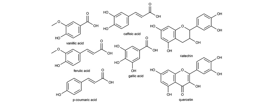 molecular structures of (poly)phenols found in beer