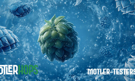 Vic Secret in a Cold IPA: MotlerHops Community Brew